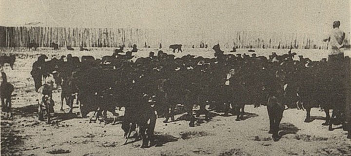 "Нараямын домог"-оос ч илүү, их хүрээний аймшиг жуулчдын нүдээр