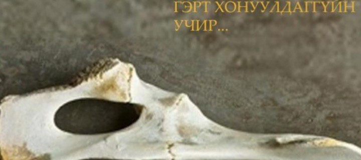Сүүжний ясыг гэрт хонуулдаггүйн учир